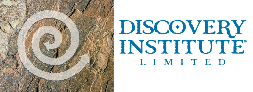 The Discovery Institute & Discovery Program